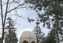 ВЕСНА – ВРЕМЯ ОБНОВЛЕНИЯ